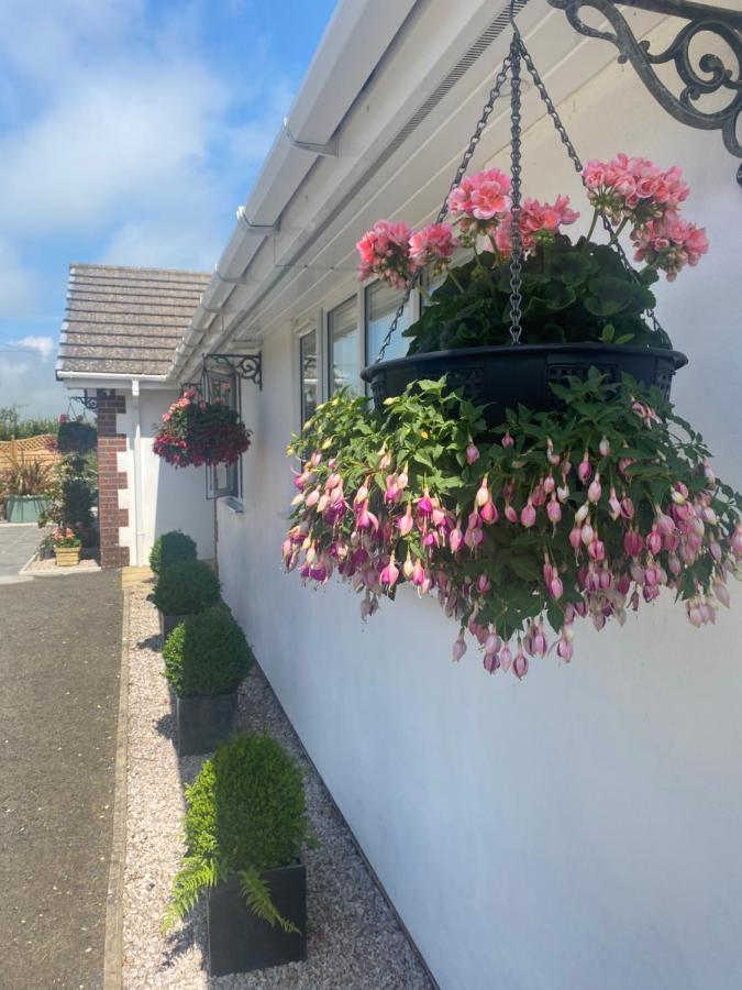 Toppesfield House B&B บู๊ด ภายนอก รูปภาพ