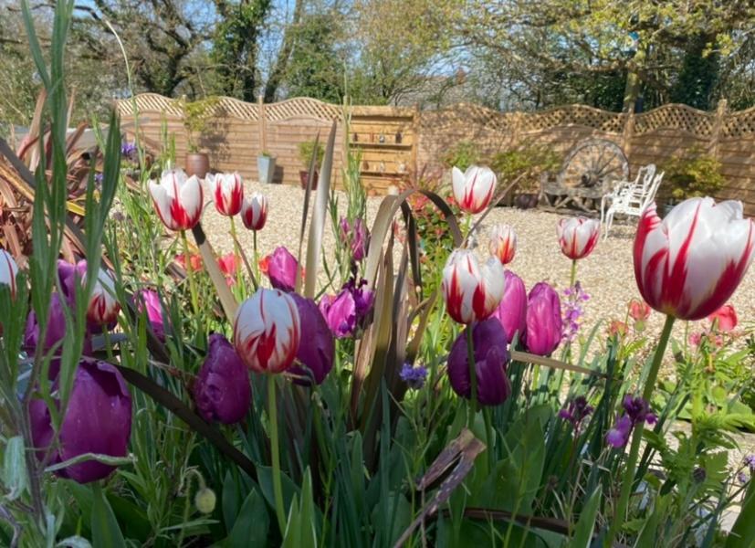 Toppesfield House B&B บู๊ด ภายนอก รูปภาพ