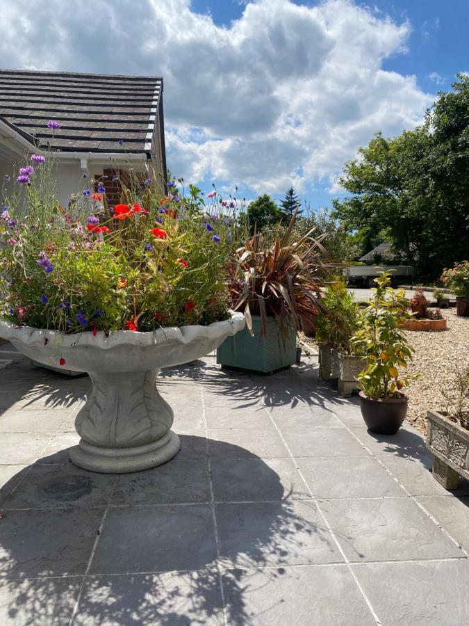 Toppesfield House B&B บู๊ด ภายนอก รูปภาพ